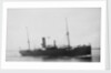 The Argo Line steamship 'Adler' (1900) by unknown