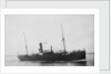 The Argo Line steamship 'Adler' (1900) by unknown