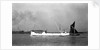 'Angularity' (Br) 50.3 1934 by Unknown
