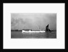 'Angularity' (Br) 50.3 1934 by Unknown
