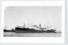 The 'Anna' (Gr, 1919) moored at Port Said by unknown