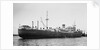 Silverwillow' (Br, 1930) by Unknown