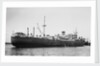Silverwillow' (Br, 1930) by Unknown
