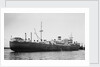 Silverwillow' (Br, 1930) by Unknown