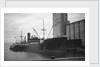 General cargo ship 'Sinnington Court' (Br, 1928) at quayside by unknown