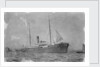 General cargo ship 'Tak Sang' (Br, 1892) Indo-China S.N. Co Ltd, at anchor by Unknown