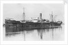 'Trevaylor' (Br, 1912) by unknown