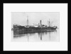 'Trevaylor' (Br, 1912) by unknown