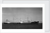 T2-SE-Al tanker 'Ambronia'  (Italy, 1943), ex 'Balls Bluff', off Cape Town by Unknown