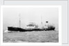'Broomdale' (Br, 1937) under way by unknown