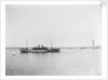 Passenger/cargo liner (British India Steam Nav. Co. Ltd) 'Lunka' (1905) at moorings in Alexandria as an armed boarding steamer, 1915 by unknown