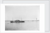 Passenger/cargo liner (British India Steam Nav. Co. Ltd) 'Lunka' (1905) at moorings in Alexandria as an armed boarding steamer, 1915 by unknown