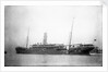 'Inkosi' (Br, 1902) by unknown