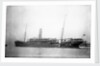 'Inkosi' (Br, 1902) by unknown
