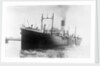 The 'Protesilaus' (Br, 1910) under way by unknown