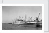 The 'Opawa' (Br, 1931) at quayside by unknown