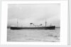 The 'Waimarama' (Br, 1938) by unknown