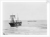 Asiatic' (Br, 1872) by unknown