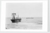 Asiatic' (Br, 1872) by unknown