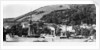 Passenger/cargo liner 'Dunrobin Castle' (Br, 1875), D. Currie & Co., at moorings by unknown