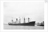 'Good Hope Castle' (Br, 1945), off entrance to the Royal Dock locks, River Thames by unknown
