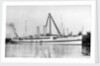 The cross channel turbine steamer 'Munich' (Br 1908) as a hospital ship at quayside, under sheerlegs by Anonymous