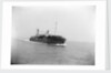 Starboard bow view of Train Ferry No. 2 (1917) by unknown
