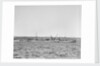 'Essex Lance' (Br, 1918) at anchor in Bedford Basin, Halifax, Nova Scotia, Canada by unknown