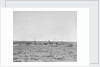 'Essex Lance' (Br, 1918) at anchor in Bedford Basin, Halifax, Nova Scotia, Canada by unknown