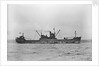'Ragnhild' (No, 1941), ex 'Empire Carey', at anchor, Bedford Basin, Halifax N S by unknown
