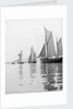 A tug and sailing vessels on the River Torridge off Appledore in Devon by unknown