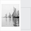 A tug and sailing vessels on the River Torridge off Appledore in Devon by unknown
