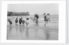 Boys and girls watch intently as a local fisherman wields his net in Scarborough, Yorkshire by Samuel Coupe Fox