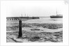 A view looking from the shore towards Shotley pier at low tide by Smiths Suitall Ltd.