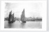 The sailing trawlers 'LT325', 'LT653' and 'LT37' leaving the outer harbour at Lowestoft, Suffolk, taken from the end of the breakwater by Smiths Suitall Ltd.