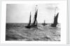 The dandy-rigged trawler 'Speranza' (1891) [LT431] under sail, with an unidentified trawler being towed by the paddle tug 'Imperial' (1879) at Lowestoft, Suffolk by Smiths Suitall Ltd.
