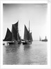 The trawler 'Refuge' (1896) [LT715] under sail, close to the trawler 'Greyhound' (1905) [LT404], in the outer harbour outward bound at Lowestoft, Suffolk by Smiths Suitall Ltd.