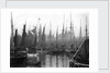 A view of trawlers in the basin at Lowestoft by Smiths Suitall Ltd.