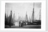 Trawlers berthed in the outer harbour with the morning mist rising at Lowestoft, Suffolk by Smiths Suitall Ltd.