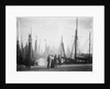 Trawlers berthed in the outer harbour with the morning mist rising at Lowestoft, Suffolk by Smiths Suitall Ltd.