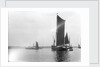 A view across the River Orwell from near Pin Mill with the spritsail barge 'Freston Tower' (1889) in the foreground by Smiths Suitall Ltd.