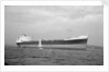 'Barlby' (Br, 1962) by unknown