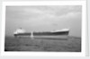 'Barlby' (Br, 1962) by unknown