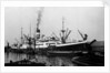 'City of Cairo' (Br, 1915), at quayside by unknown