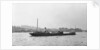The 'Suntrap'  (Br, 1929) under way on the River Thames at Woolwich, bound up river for the Nine Elms Gas Works by Unknown