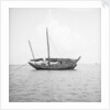 A port broadside view of a small fisher type junk anchored at Penang by David Watkin Waters