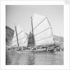 An Aberdeen fisher type junk under sail in Hong Kong harbour. by David Watkin Waters
