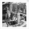 On board an Aberdeen fisher d.w. type junk berthed at Hong Kong by David Watkin Waters