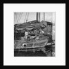 A close view of the starboard bow of a Swatow trader type junk at Kowloon, Hong Kong by David Watkin Waters