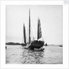 The Hong Kong small trader type junk T3512H under sail at Sham Shui Po, Hong Kong by David Watkin Waters